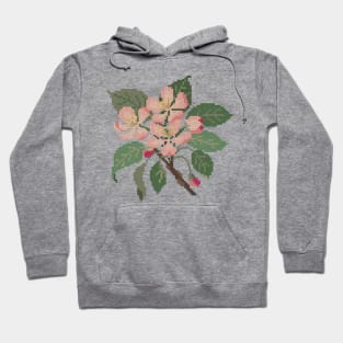 Arkansas Michigan State Flower Apple Blossom Hoodie